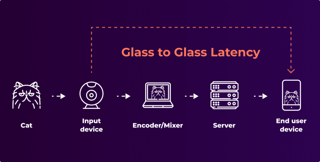 Streaming Glass to Glass Latency