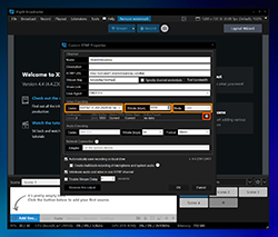 Choose "Codec" (The recommended choice here is "x264" or if you have an NVIDIA graphics card, you can try selecting the &quotNVENC" option), "Bitrate" and "mode".